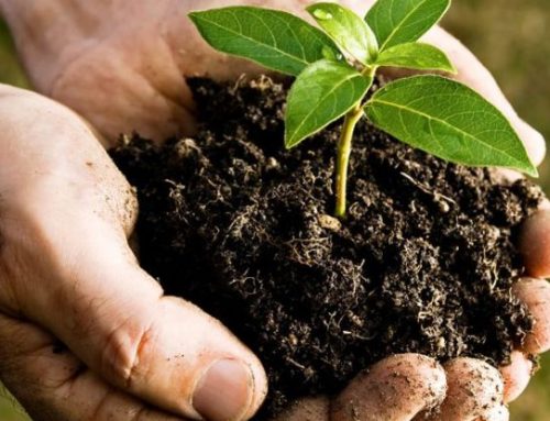 Proposta que define critérios para uso do lodo de esgoto em solos é aprovada pelo Conselho Nacional de Meio Ambiente