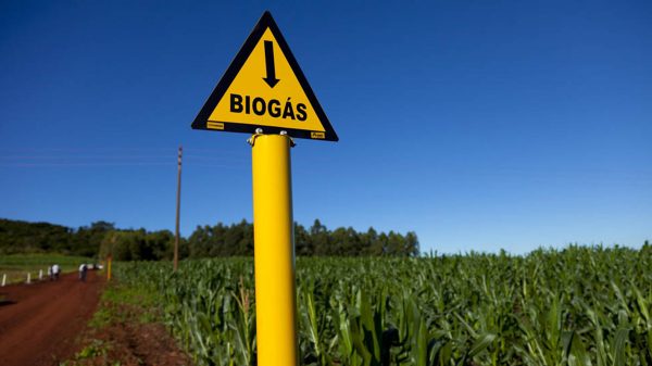 biogás