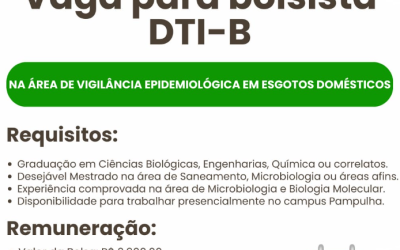 Vaga para bolsista DTI-B – INCT-Instituto Nacional de Ciência e Tecnologia